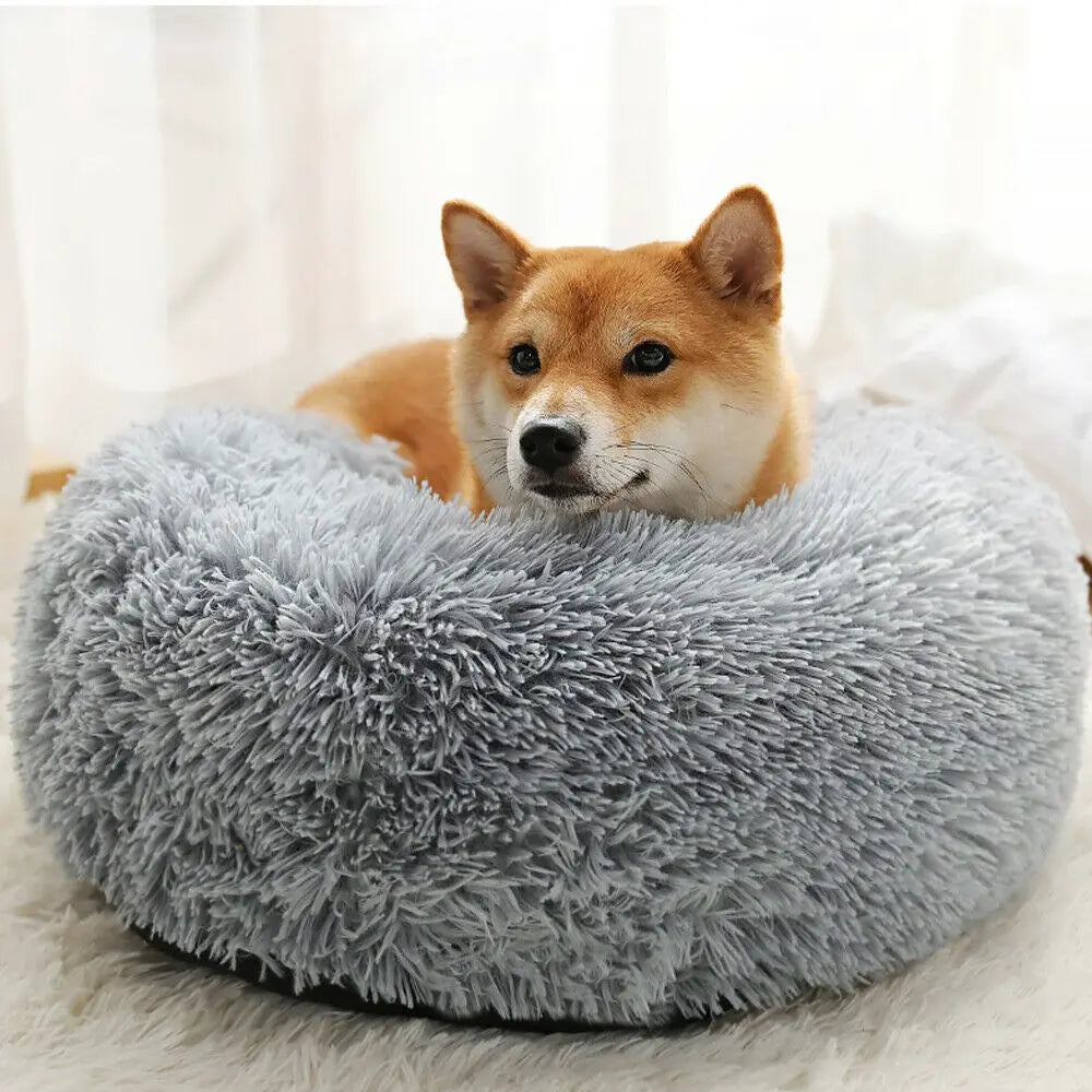 Auggie's Comfortable Donut Cuddler Cushion Bed