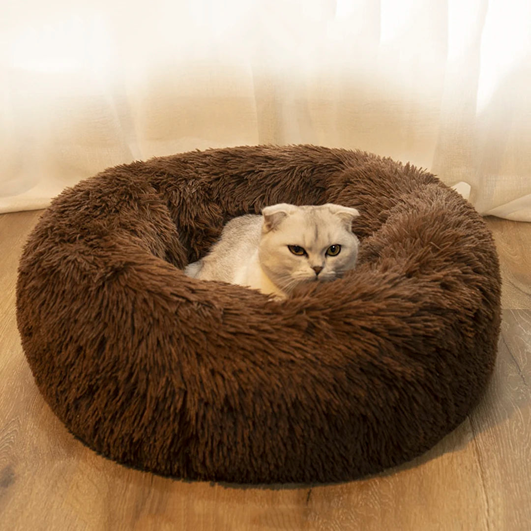 Auggie's Comfortable Donut Cuddler Cushion Bed